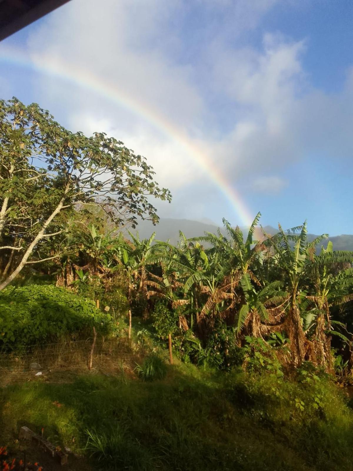 Agartha Mountain Retreat Hostel Boquete Exterior photo