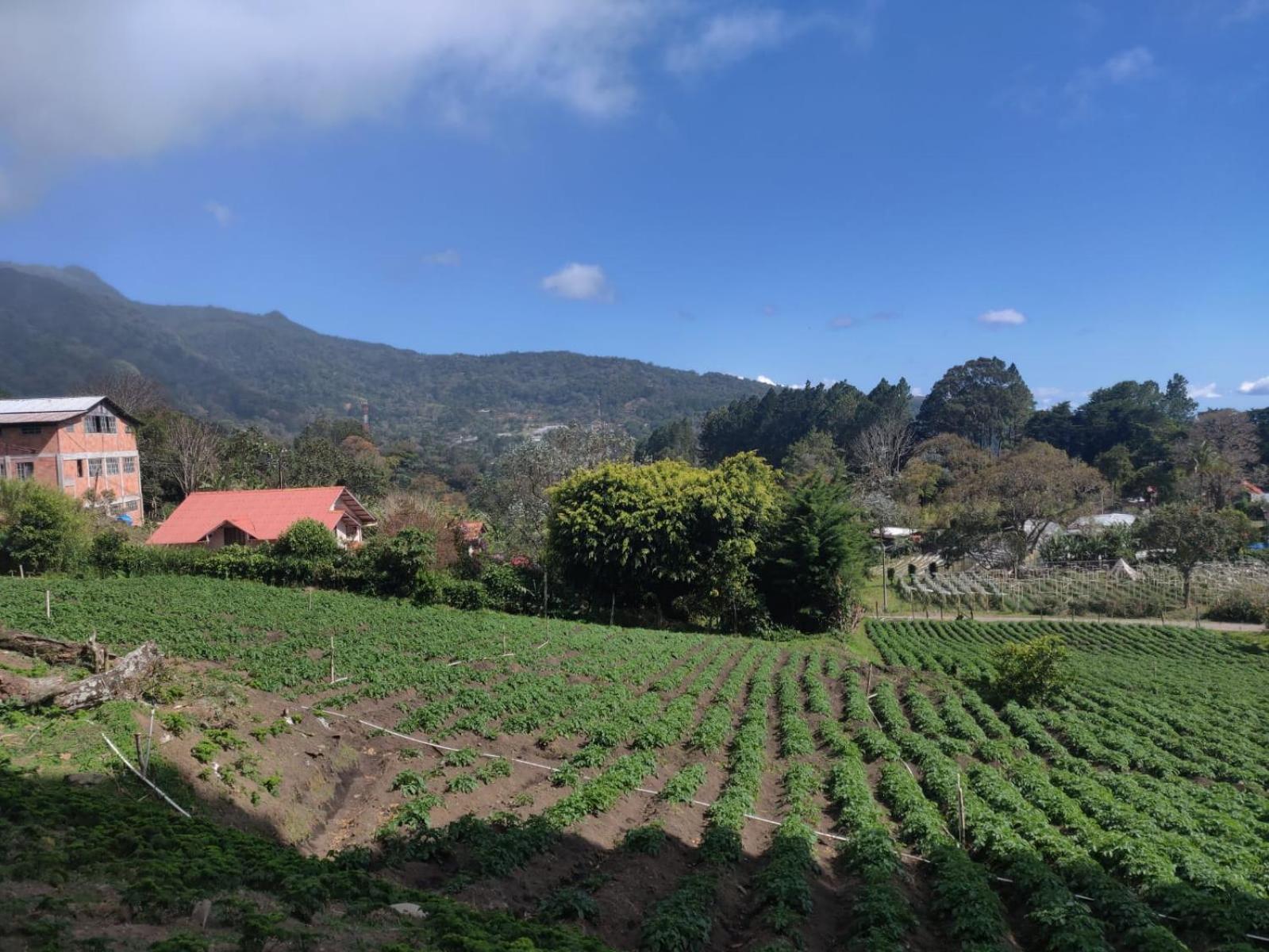 Agartha Mountain Retreat Hostel Boquete Exterior photo
